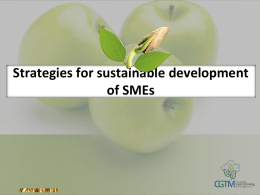 Strategies for sustainable development of SMEs
