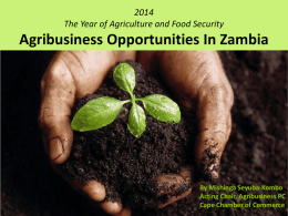 GREEN GOLD Agribusiness Opportunities In Zambia