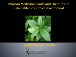 Jamaican Medicinal Plants and their Role in Sustainable Economic