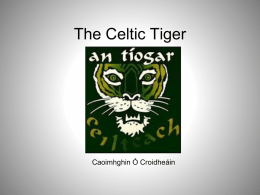 Celtic Tiger powerpoint File