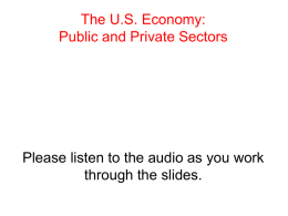 The US Economy Public and Private Sectorsx