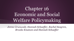 Chapter 16 Economic and Social Welfare