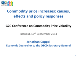 Commodity price increases: causes, effects and policy responses