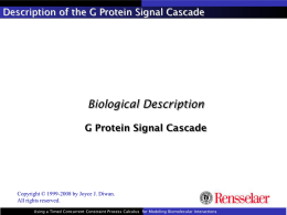 Biological Description G Protein Signal Cascade