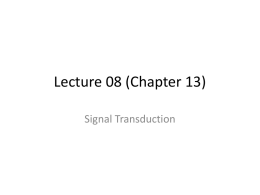 Signal Transduction - Clayton State University