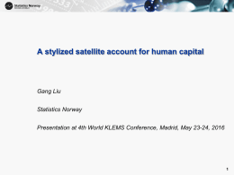 A Stylized Satellite Account for Human Capital.