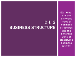 ch2_business_structurex