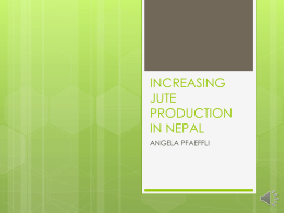 INCREASING JUTE PRODUCTION IN NEPAL