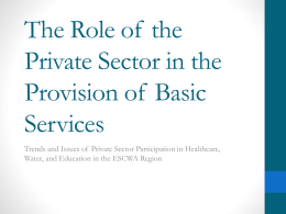 The Role of the Private Sector in the Provision of Basic Services