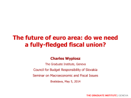 The future of euro area: do we need a fully