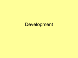 Development - School