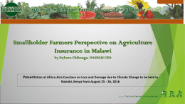 Small farmers perspective: experience and challenges in agriculture