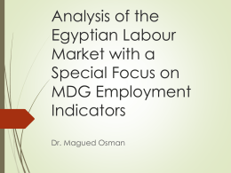 Analysis of the Egyptian Labour Market with Special Focus on MDG