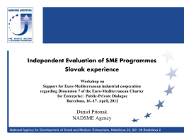 47955_Daniel Pitonak_Independent Evaluation of SME