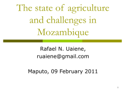 The state of agriculture and challenges in Mozambique