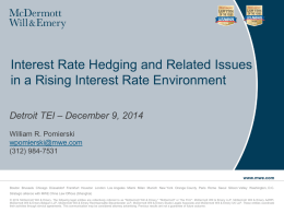 Interest Rate Hedging and Related Issues - TEI