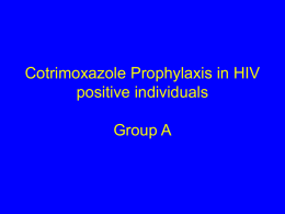 Co-trimoxazole (CTX) Meeting 8 February 2005