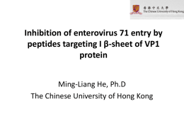 Inhibition of enterovirus 71 entry by peptides targeting I *