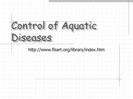 Control of Fish Diseases