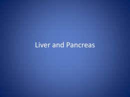 Liver and Pancreas