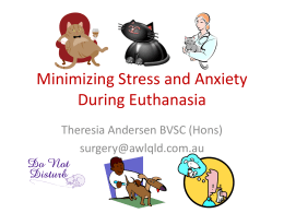 Minimizing Stress and Anxiety During Euthanasia