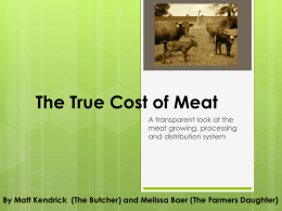 The True Cost of Meat