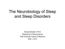 The Neurobiology of Sleep and Sleep Disorders
