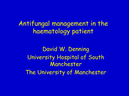 Antifungal management in the haematology patient