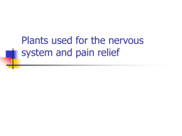 pain-1 - Thblack.com