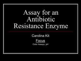 Assay for an Antibiotic Resistance Enzyme