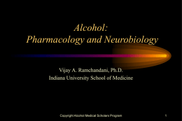 Overview of Neurobiology of Addiction
