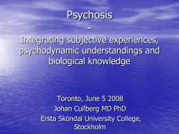 Psychosis - Integrating subjective experiences