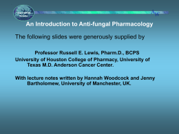 What are the targets for antifungal therapy?