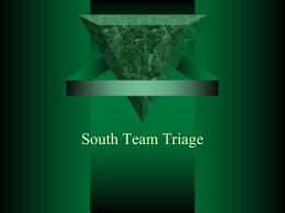 South Team & Te Roopu Whitiora Triage