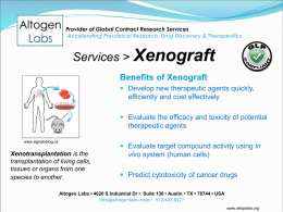 Xenograft Services PPT