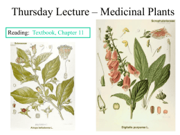 Thursday Lecture – Medicinal Plants