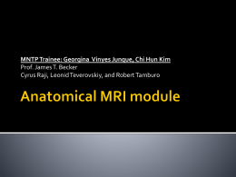 Anatomical MRI module