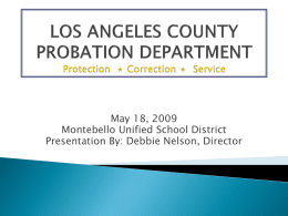 LOS ANGELES COUNTY PROBATION DEPARTMENT Protection