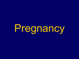 Pregnancy & Drug Use - Flinders University