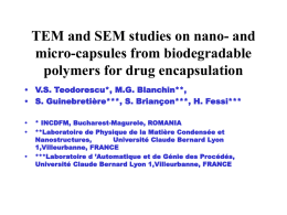 TEM and SEM studies on nano- and micro