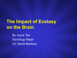 The Impact of Ecstasy on the Brain - Writing Program