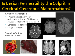 Is Lesion Permeability the Culprit in Cerebral Cavernous