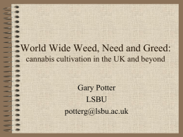Worldwide Weed, Need and Greed: cannabis cultivation in