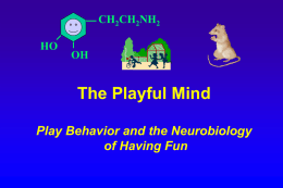 Neurobiological Substrates of Play Behavior