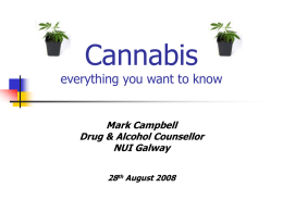 Cannabis everything you want to know followed by Q & As