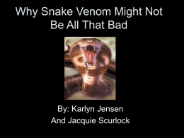 Why Snake Venom Might Not Be All That Bad