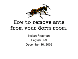 How to remove ants from your dorm room.