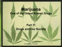 MARIJUANA One of the world`s oldest known drugs