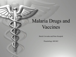 Malaria Drugs and Vaccines