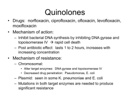 Quinolones, Metronidazole, Tetracyclines, Trimethoprim